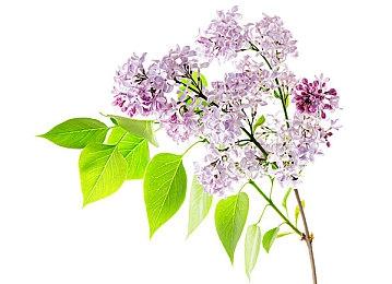 动视暴雪10月将再裁员400人 加州手游部门受影响